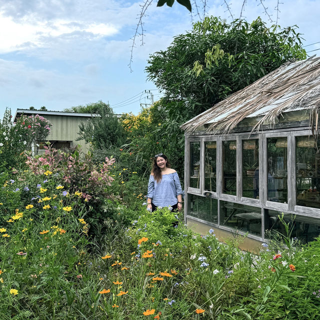Pranberry Field 🌺🌿
