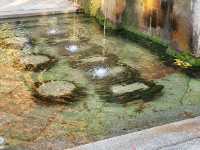 四季巡禮清水寺：京都名剎之美與儀式之心