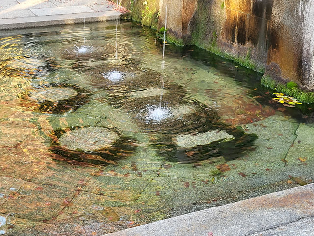 四季巡禮清水寺：京都名剎之美與儀式之心