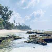 🌴 Solo Escape: Talpe Beach – Sri Lanka’s Secret Southern Gem