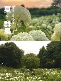 【群馬】紫陽花とホタルが鑑賞できる公園
