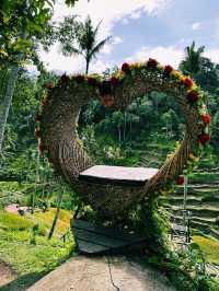 The Green Stairway to Heaven – Tegallalang Rice Terrace