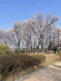 Seonyudo Park