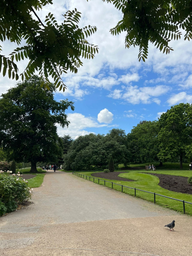 🌳☀️ Hyde Park
