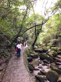 臺北內湖大溝溪親水步道 圓覺瀑布 親子好去處