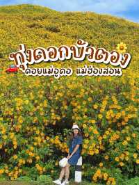 เที่ยวทุ่งบัวตอง ที่ดอยแม่อูคอ แม่ฮ่องสอน