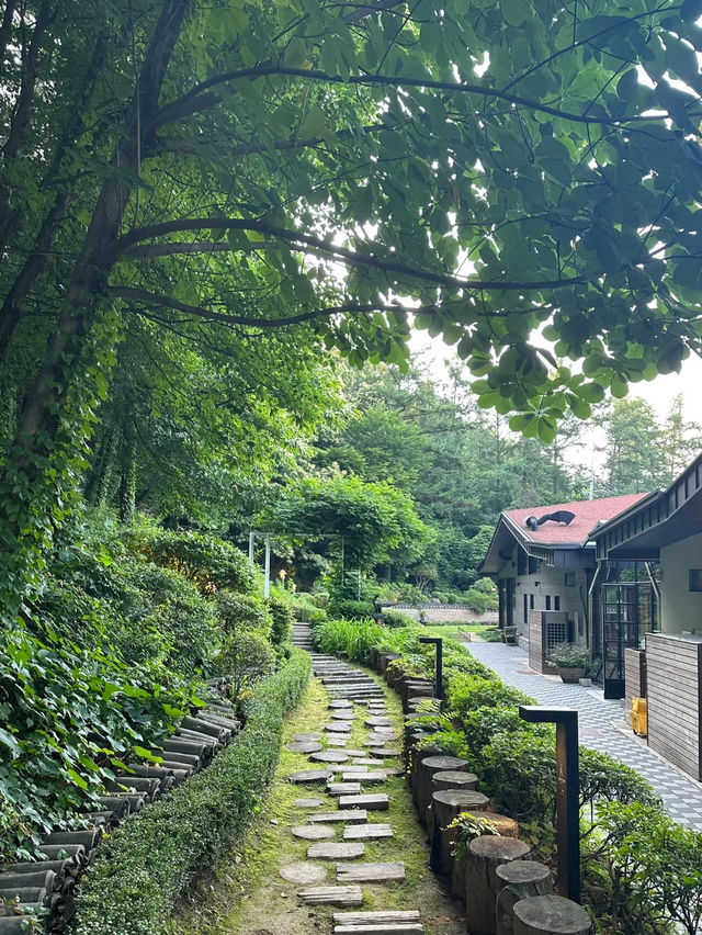 Slow Down in Pocheon – Garden Café Getaway at Café Ssum 🌿🍧