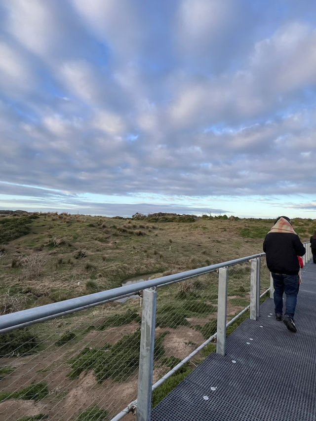 7D6N Melbourne & Beyond Adventure!