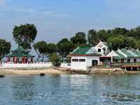 Why is Singapore's "Restricted" Island So Popular? 🏝️🔒