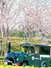 🎡🇯🇵日本大阪必去景點🛝森貝兒樂園✨親子好去處