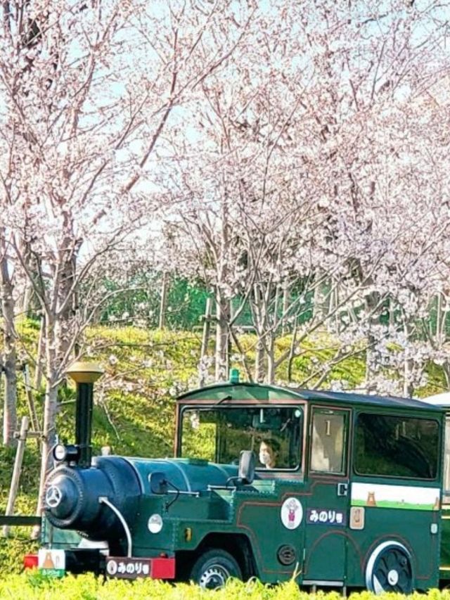 🎡🇯🇵日本大阪必去景點🛝森貝兒樂園✨親子好去處