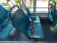 Elephant Hop-On Hop-Off Bus Tours