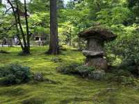 【大原三千院】山里に佇む癒しの寺🍃静寂と緑に包まれる“心の旅”