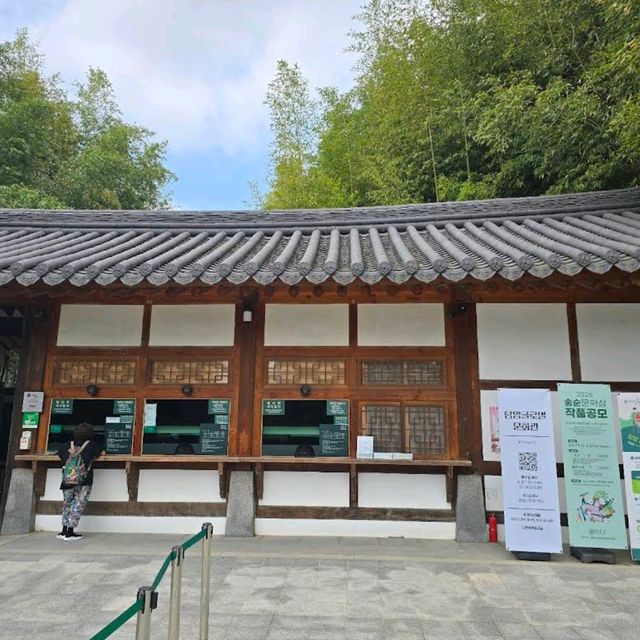 담양 죽녹원
