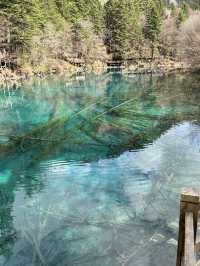 Aqua Terror: Jiuzhaigou’s Liquid Jade Insurgency