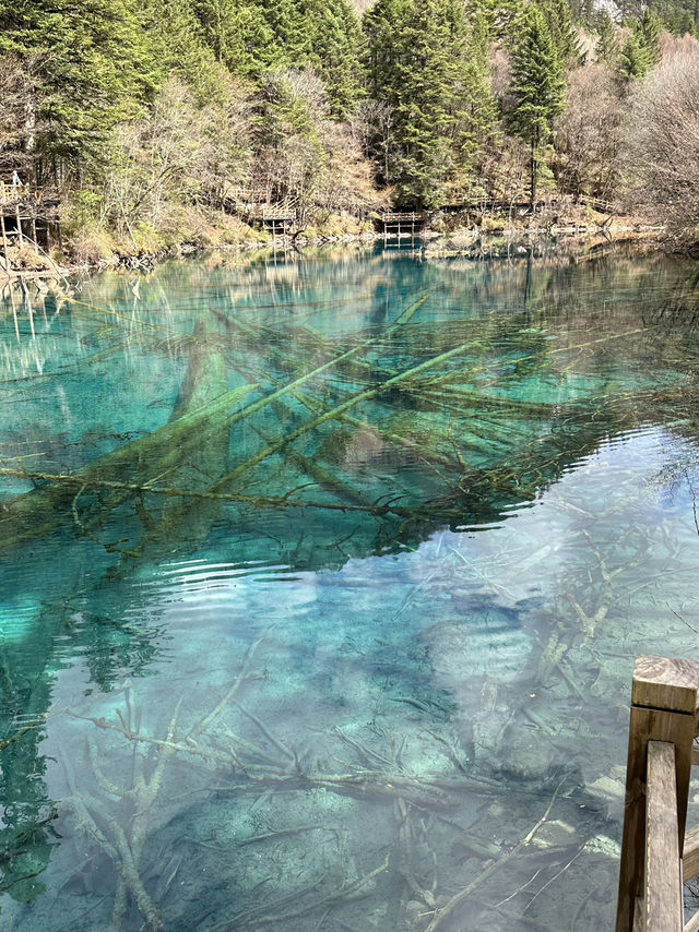 Aqua Terror: Jiuzhaigou’s Liquid Jade Insurgency