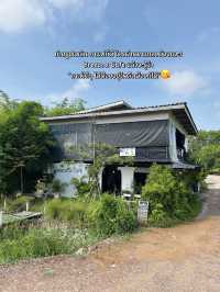 คาเฟ่น่ารักที่แอบซ่อนอยู่กลางธรรมชาติ 🌿☕