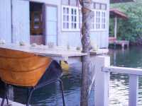 Mangrove Bungalow 🛏️