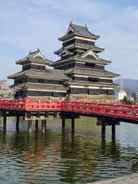 matsumoto ช่วง sakura