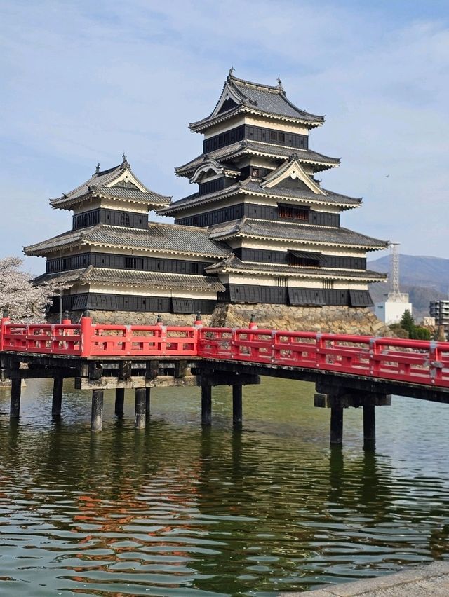 matsumoto ช่วง sakura