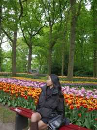 🌷 Keukenhof… เหมือนหลุดเข้าไปอยู่ในเทพนิยายดอกไม้