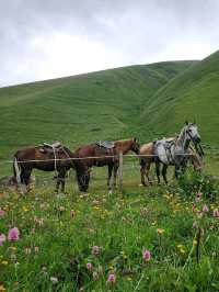 horse trail @ Juta 🇬🇪