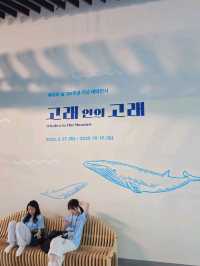 인천 놀거리 많은 관광지