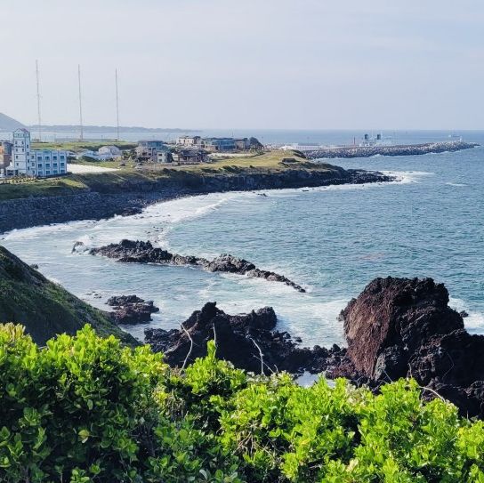 Observing the Haenyeo Dive Show at the Base