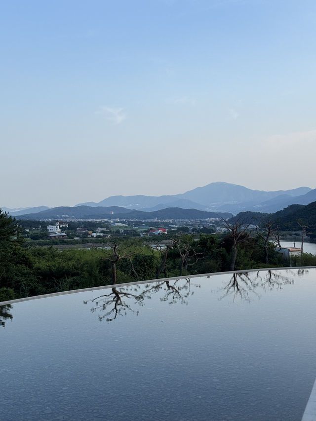경주의 푸릇한 대형 카페