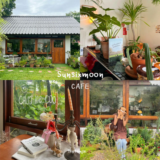 เที่ยวสัตหีบไปไหนดี ?