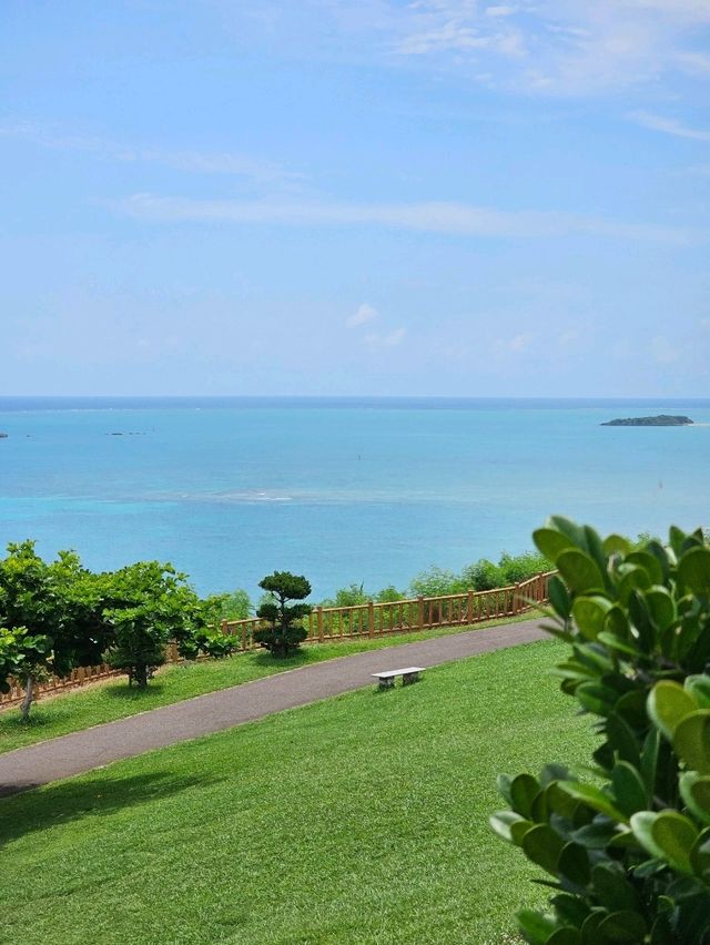 絶景パノラマ、風と太陽のテラス🌬️🌞