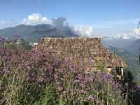 Flower gardens at the Fansipan Cable Car