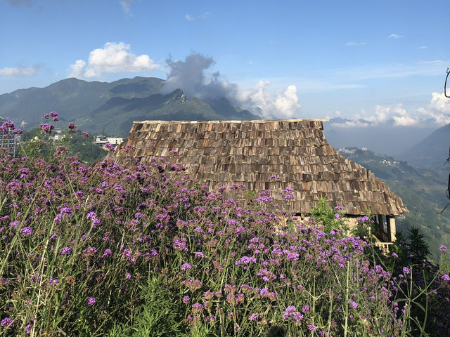 Flower gardens at the Fansipan Cable Car