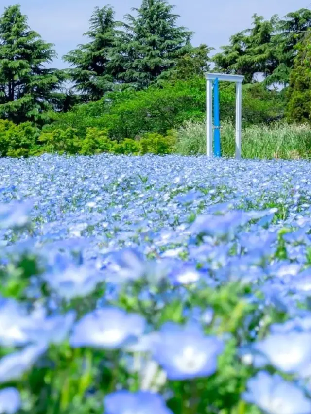 [30 minutes from Tokyo Station] A nature-filled date spot close to the city center