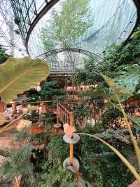 Treetop Adventure @ Rainforest PJ: Fun Among the Trees