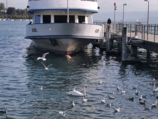 Lake Zurich: A Sparkling Jewel of Urban Serenity