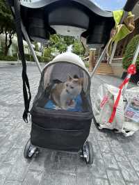 โรงแรมริมแม่น้ำเจ้าพระยา Pet Friendly 🐈