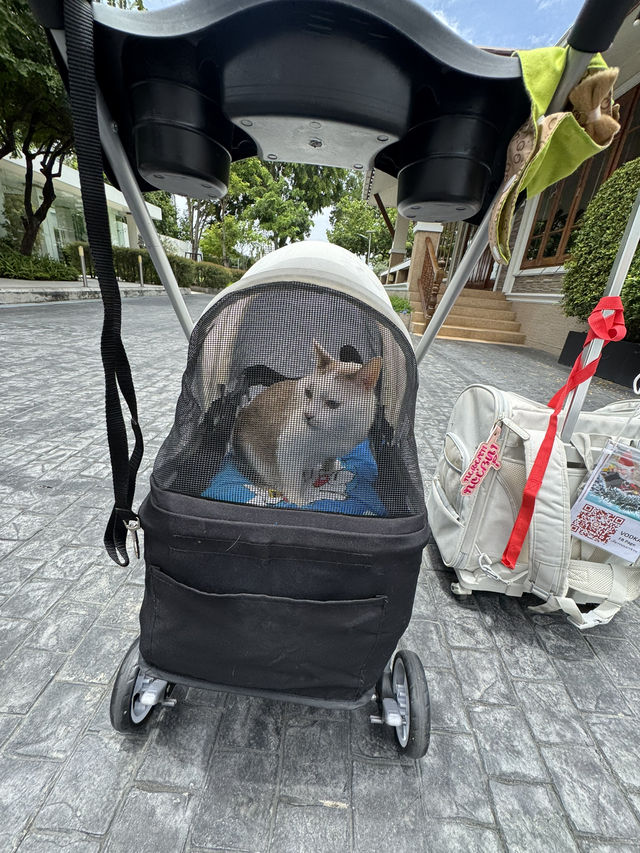 โรงแรมริมแม่น้ำเจ้าพระยา Pet Friendly 🐈