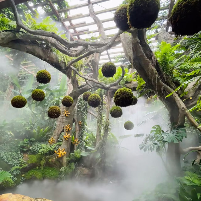 🌿 Escape into Nature at Qingxiu Mountain, Nanning (南宁青秀山)