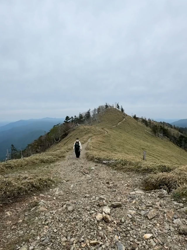 🏔️西日本屈指の絶景!剣山で心が澄み渡る天空の旅 🏔️西日本屈指の絶景!剣山で心が澄み渡る天空の旅