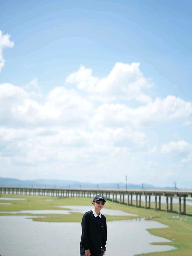 รถไฟลอยน้ำ เขื่อนป่าสักชลสิทธิ์