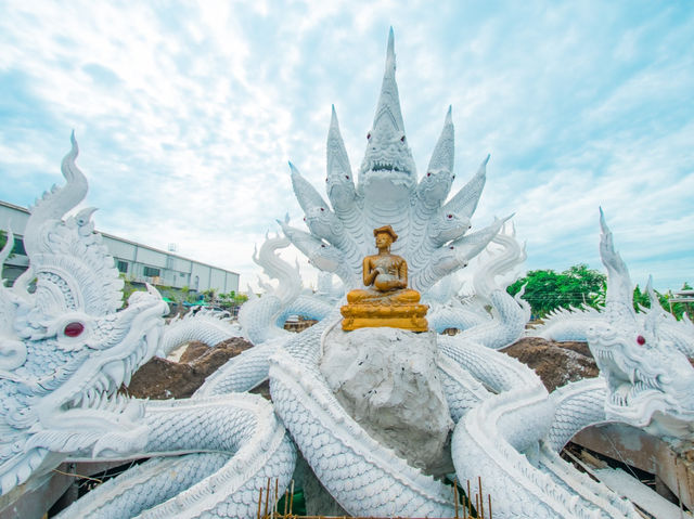 ไปไหว้ชมพญานาค ที่ลำลูกกาคลอง8 ปทุมธานี