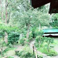🕉️北鎌倉 円覚寺|四季を映す静寂の禅寺散策