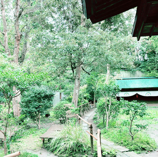 🕉️北鎌倉 円覚寺|四季を映す静寂の禅寺散策 🕉️北鎌倉 円覚寺|四季を映す静寂の禅寺散策