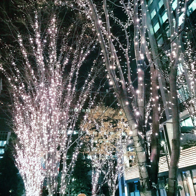 冬の東京散歩❄️ 赤坂インターシティAIRの光と西神田グルメめぐり 冬の東京散歩❄️ 赤坂インターシティAIRの光と西神田グルメめぐり