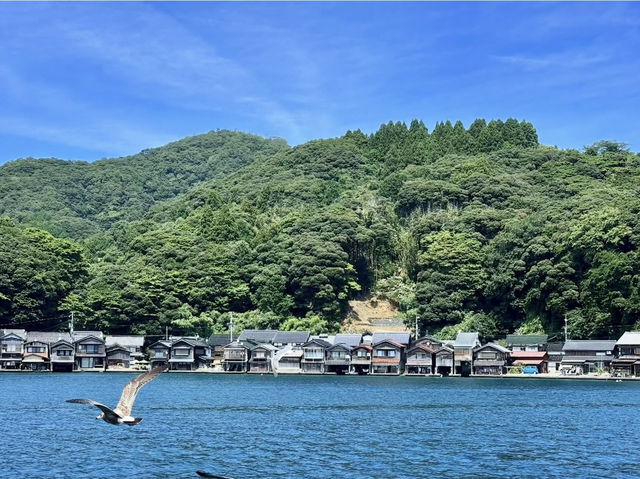 Ine Bay Kyoto 🇯🇵 สวยย So จึ้งใจมากกก 🩵