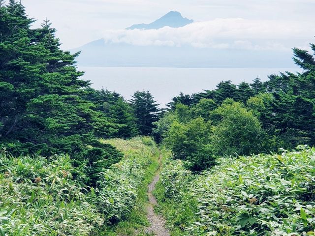 Rebun Island – Hokkaido’s Flower Island!