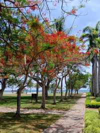 Nexus Resort & Spa Karambunai: A Seaside Retreat near Kota Kinabalu