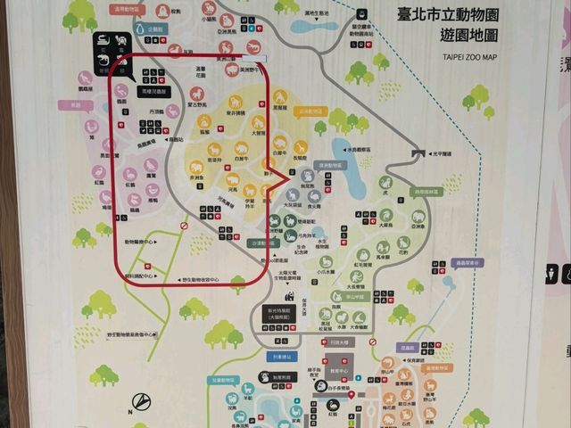 台北親子游必看動物園攻略✨台中市動物園