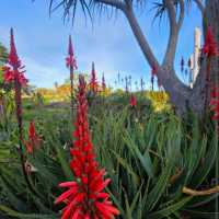 Auckland Botanic Gardens Sculpture Trail 🎨